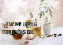 how-to-make-cannabis-How to Make Cannabis Oil for Cooking - Featured Imageoil-for-cooking-featured-image