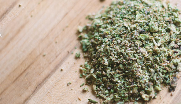 Prepare: Grind Cannabis for Cooking