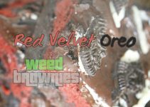 Red Velvet Oreo Weed Brownies